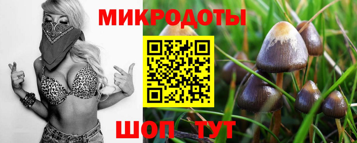 Псилоцибиновые грибы Cubensis Приморско-Ахтарск
