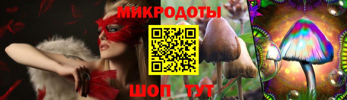 Галлюциногенные грибы Magic Shrooms  как найти закладки  Приморско-Ахтарск  Галлюциногенные грибы Psilocybe  Вход с VPN 
